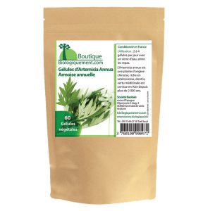 Sachet de gélules bio d’armoise annuelle artemisia annua artemisinine anti-cancer